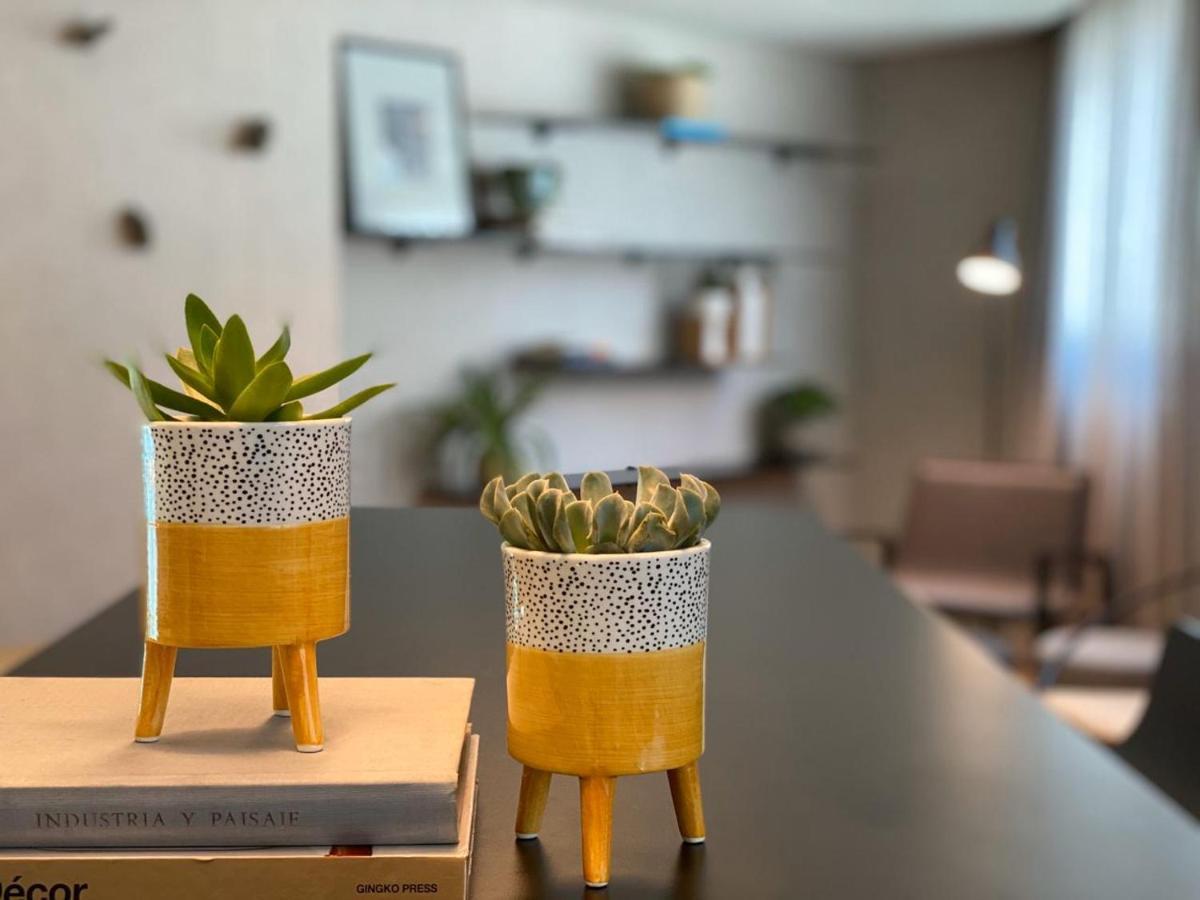 Radisson Oscar Freire Hotel São Paulo Ngoại thất bức ảnh Succulents in a home